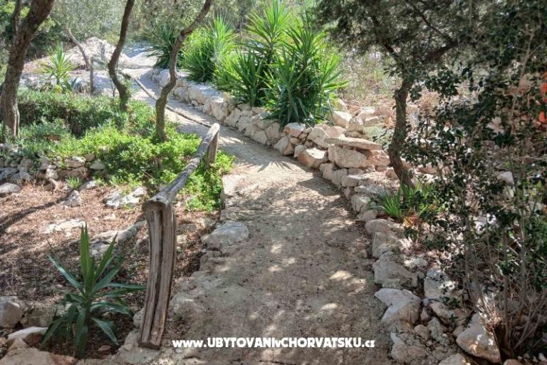 Apartmány Ivomir Malo more – foto 5