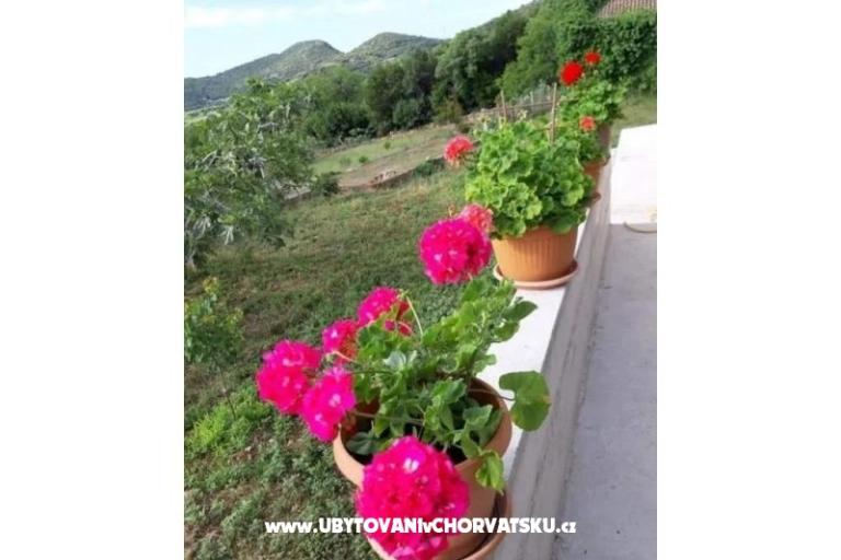 Gardenia Dům – foto 11