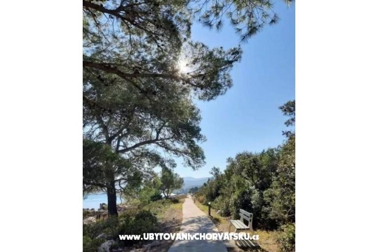 Gardenia Dům – foto 13