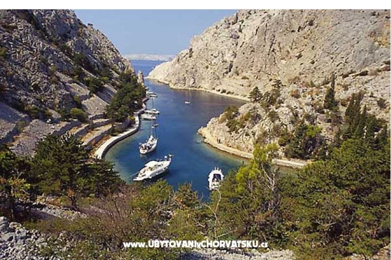 Apartmán Camelia – foto 12