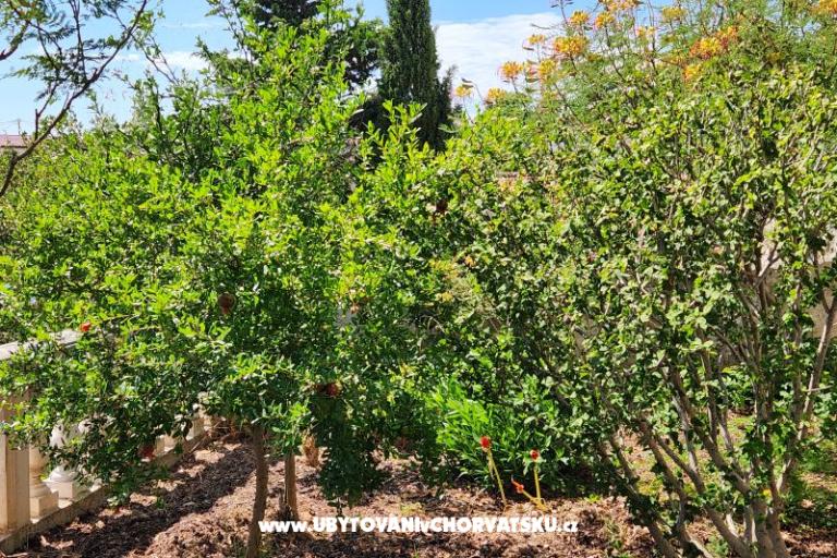 Apartmán Karlobag – foto 63