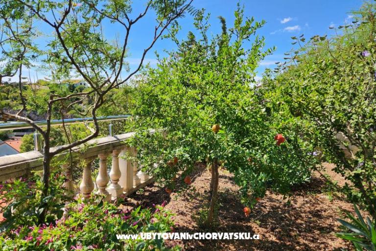 Apartmán Karlobag – foto 69