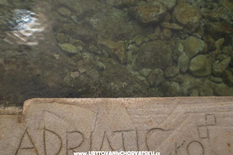 Apartmány Ana-Marija – foto 17