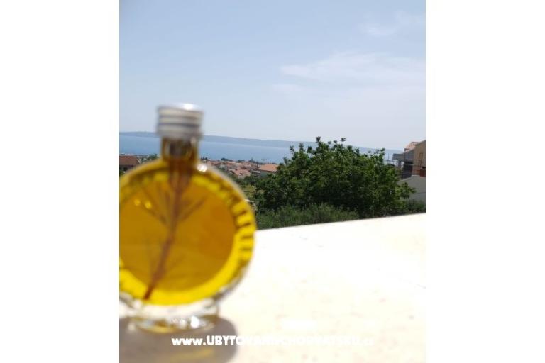 Apartmán Dejana – foto 17