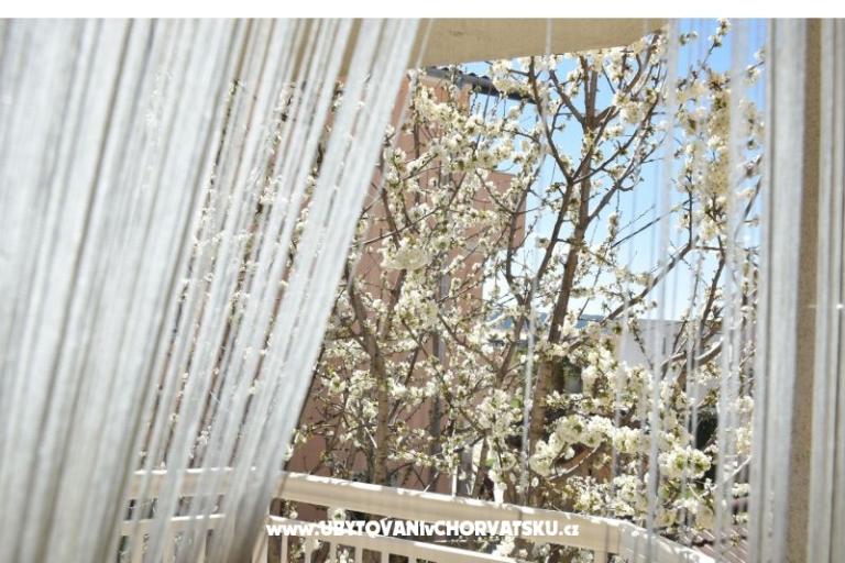 Apartmány Jelena – foto 11