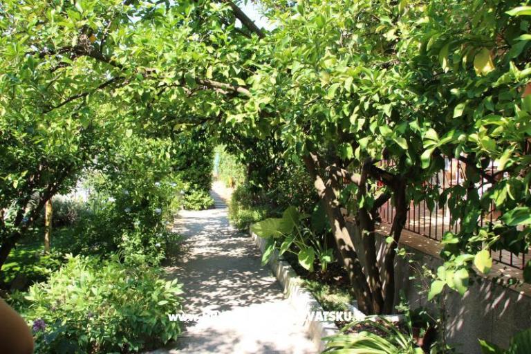 Apartmán Magali – foto 11