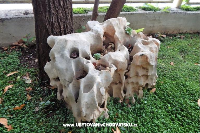 Apartmán Marijeta – foto 18