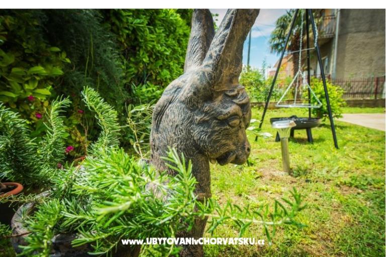 Aprartments Ivan – foto 2