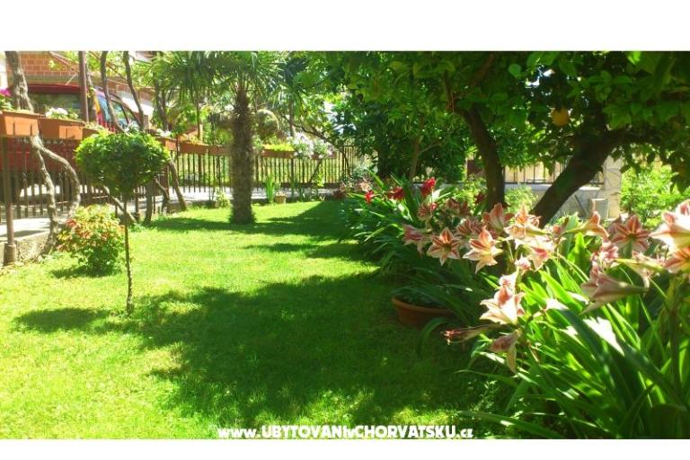 Apartmány Duje – foto 12