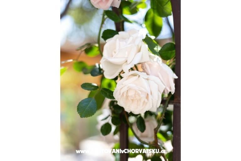 Villa Antea  – foto 18