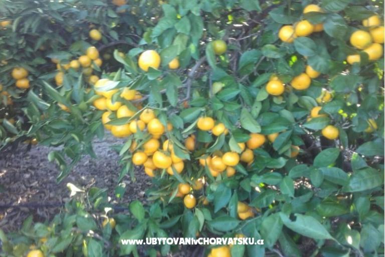 Apartmány Alfijo – foto 10