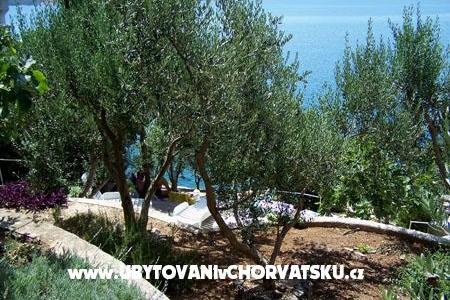 Apartmány Mediterraneo – foto 11