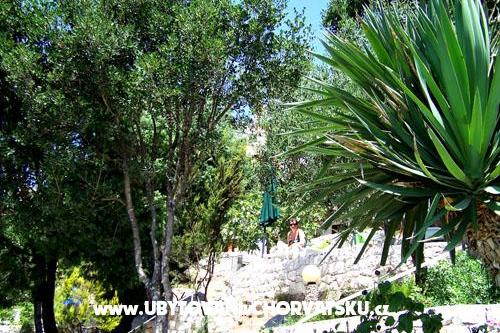 Apartmány Mediterraneo – foto 13