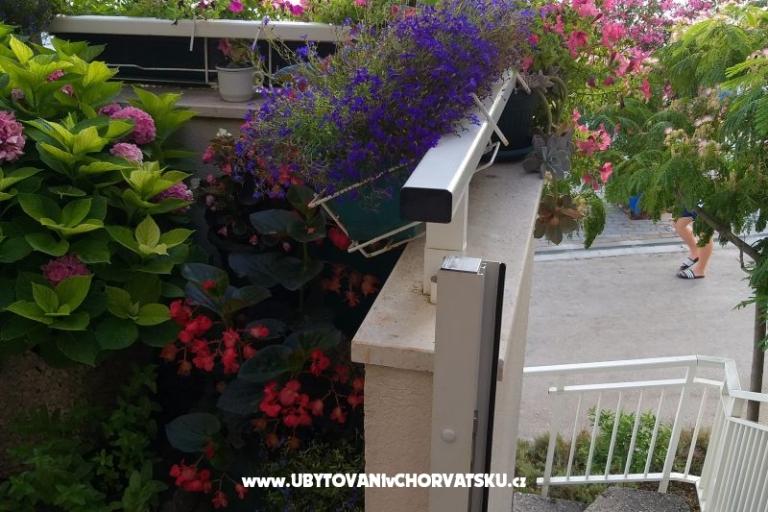 Apartmány Tea – foto 3