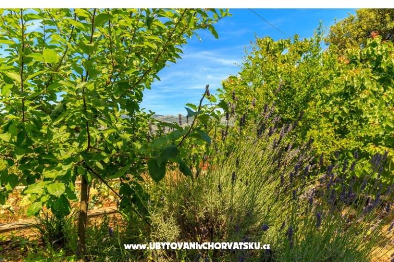 Apartmány Kastelan – foto 6