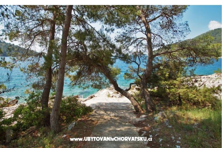 Apartmány Marica P. – foto 6