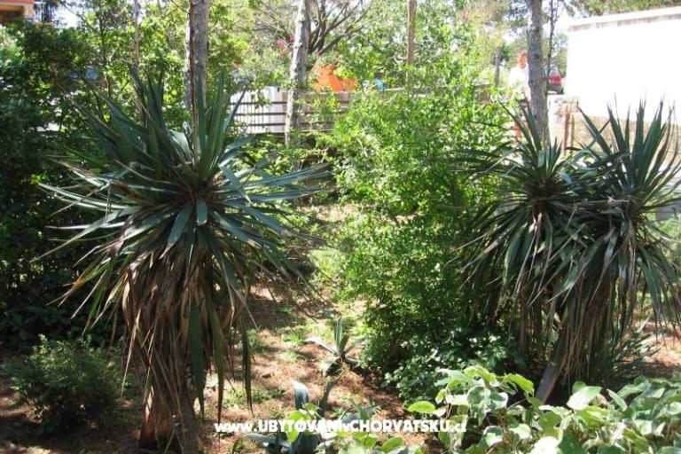 Apartmán Borici – foto 17