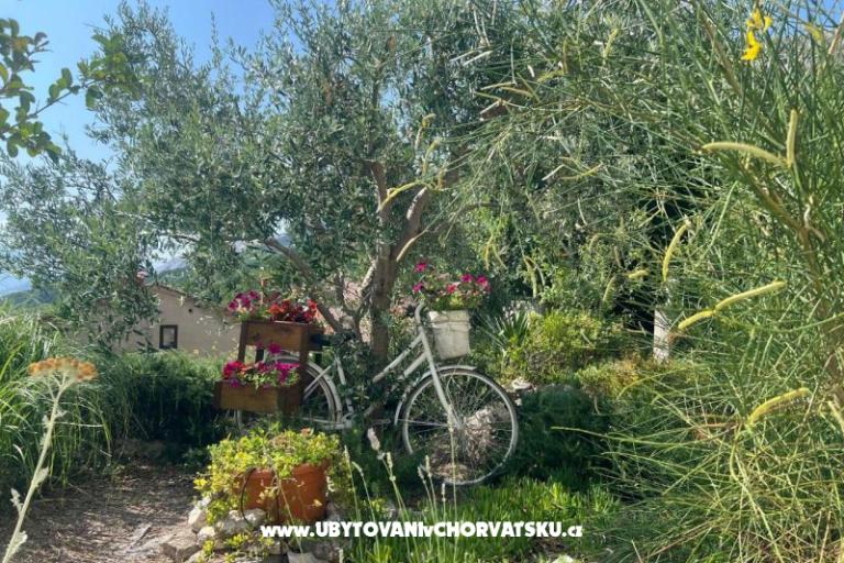 Apartmán Roko – foto 11