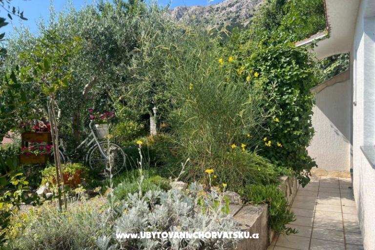 Apartmán Roko – foto 15