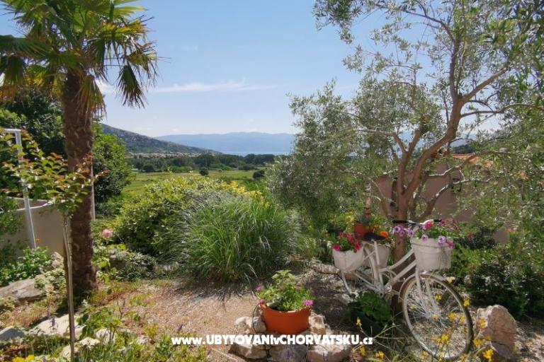 Apartmán Roko – foto 8