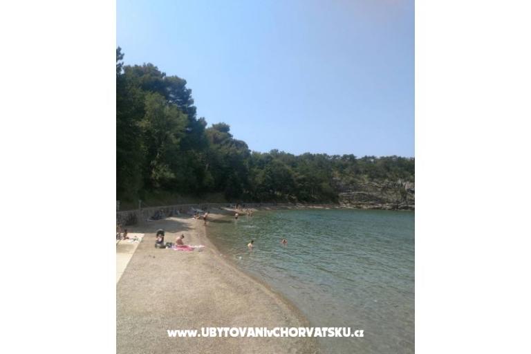 Apartmán Tara – foto 12