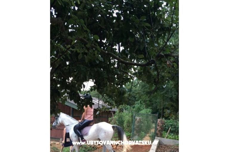 Apartmán Tara – foto 9