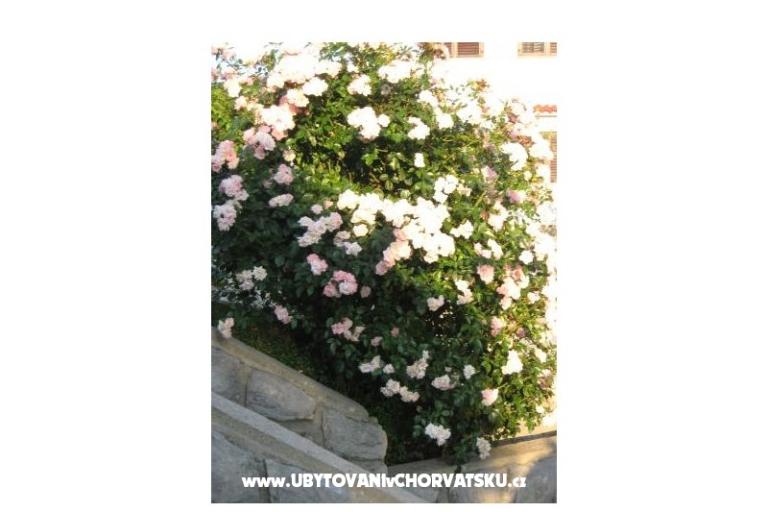 Apartmány Iva&amp;Ivan – foto 2