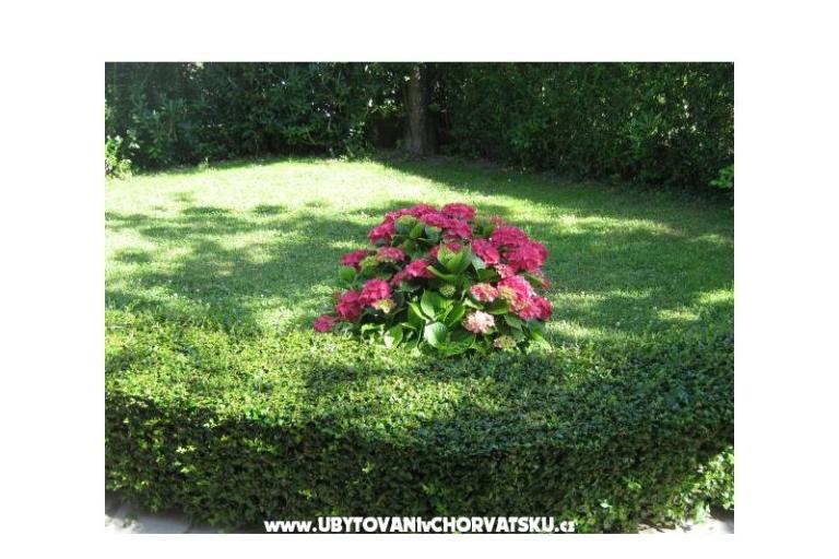 Apartmány Iva&amp;Ivan – foto 3