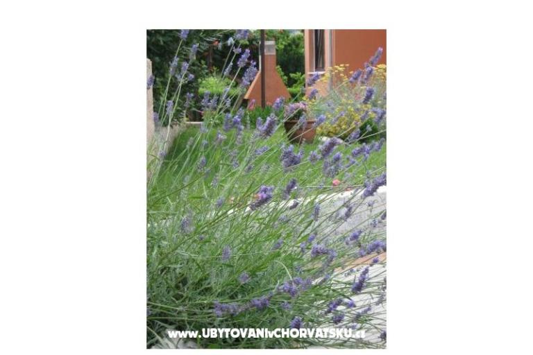 Apartmány Iva&amp;Ivan – foto 4