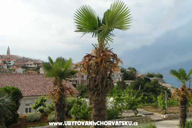 Apartmány Maja – foto 6