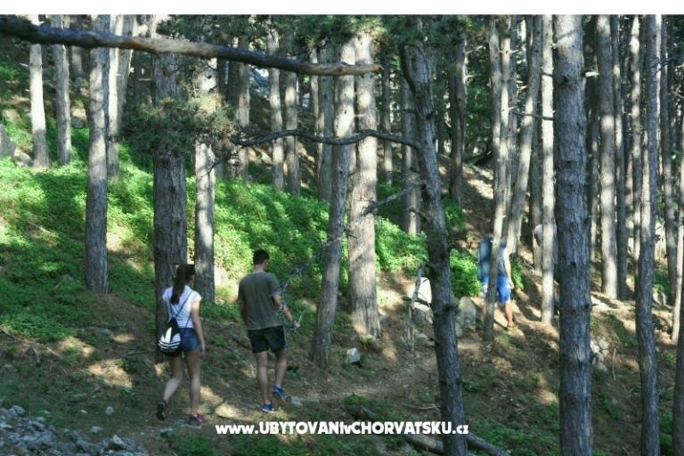 Apartmán Petra  – foto 11