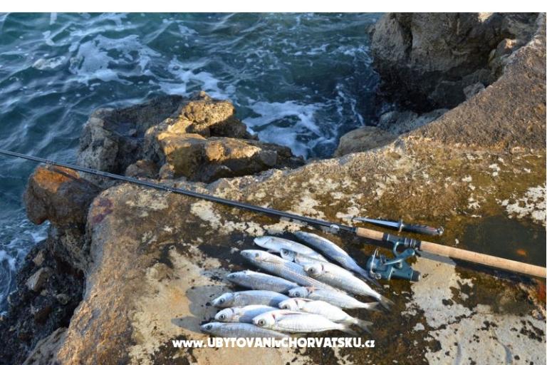 Apartmány Petković – foto 12