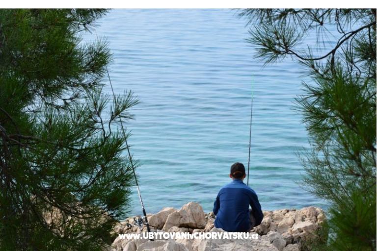 Apartmány Petković – foto 17