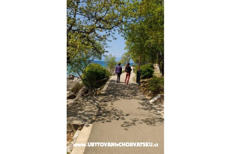 Apartmán Elis – foto 13