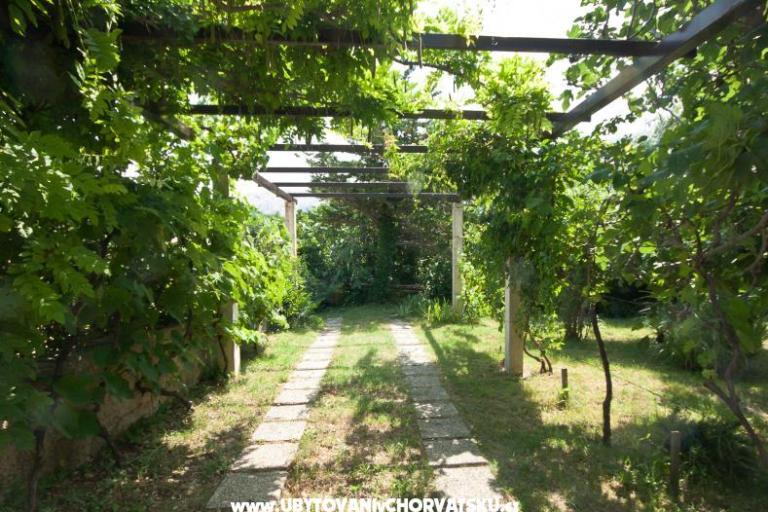 Sea Dream – foto 7