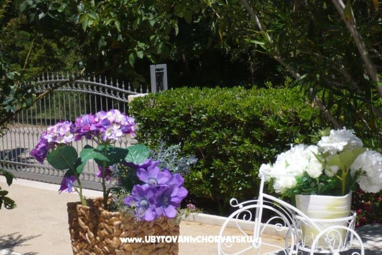 Apartmány Zana – foto 13