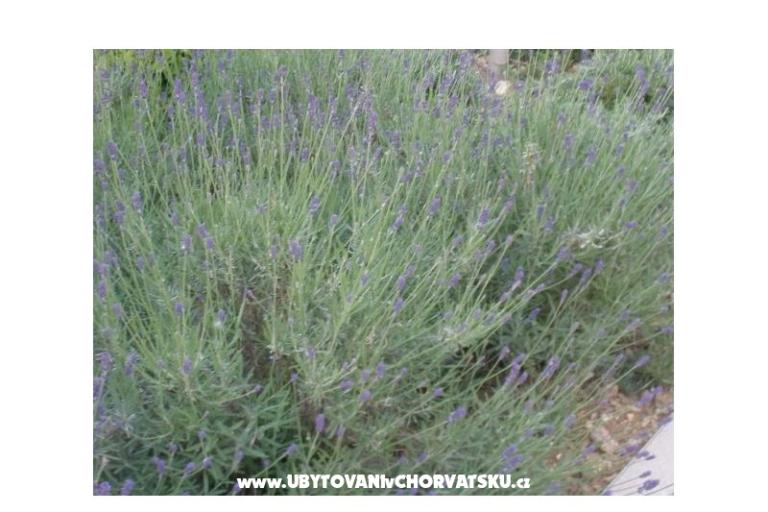 Villa Mare - Apartmány Žilavčić – foto 7