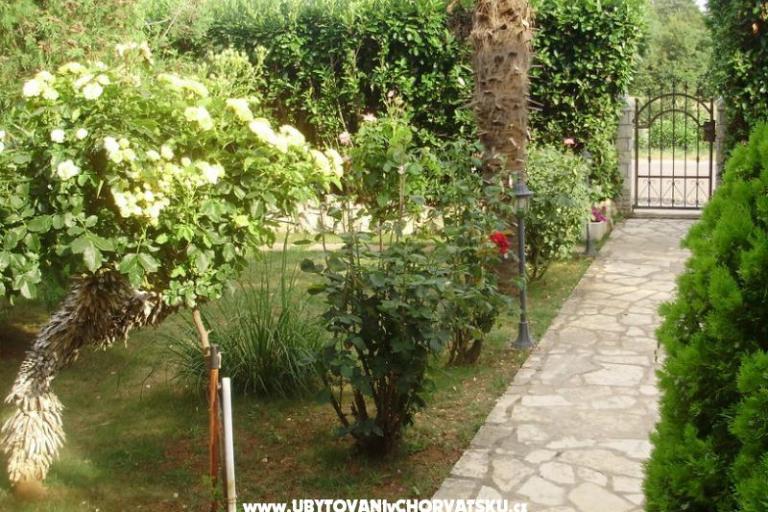 Apartmán Mihael + free boat trip – foto 16