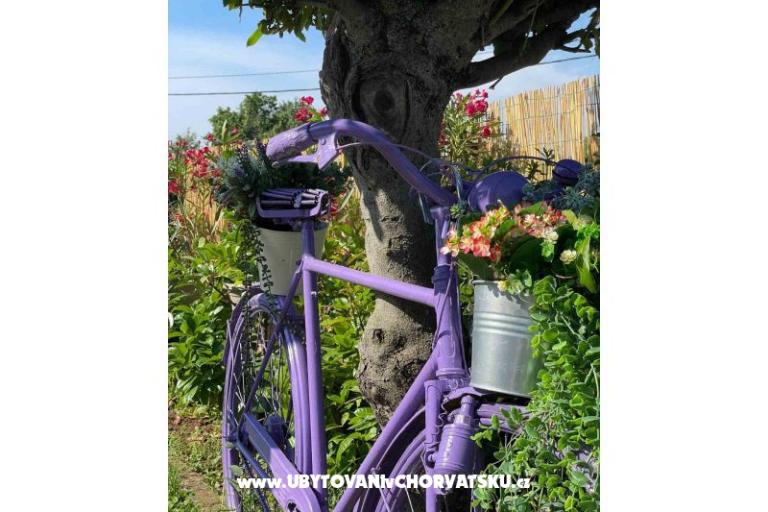 Dům k odpočinku Bepina – foto 20