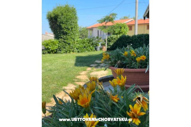 Dům k odpočinku Bepina – foto 21