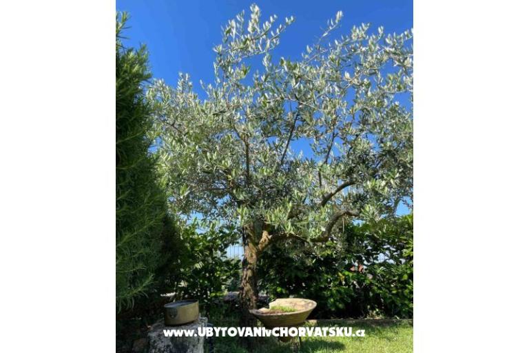 Dům k odpočinku Bepina – foto 23