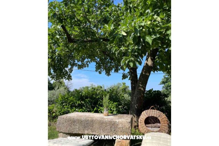 Dům k odpočinku Bepina – foto 24