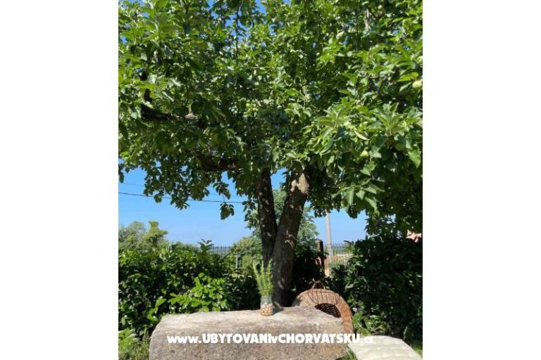 Dům k odpočinku Bepina – foto 27