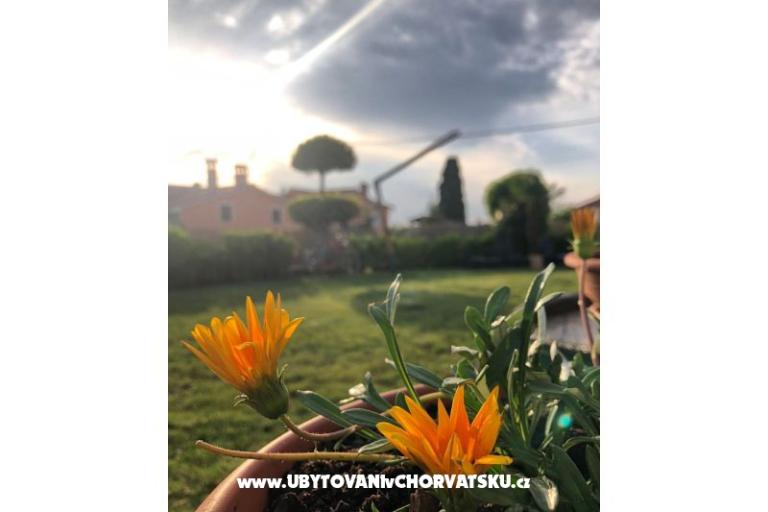 Dům k odpočinku Bepina – foto 29