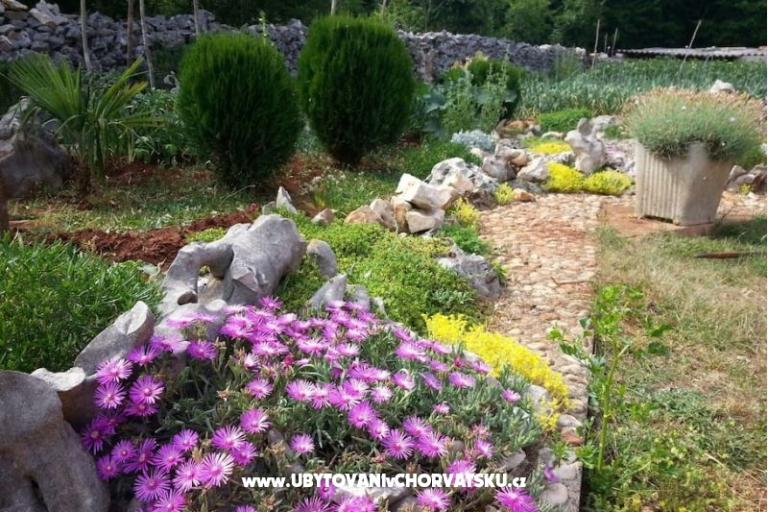 Villa Fortuna – foto 13