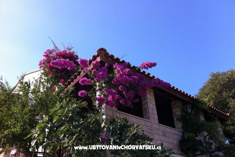 Villa Paradise – foto 5