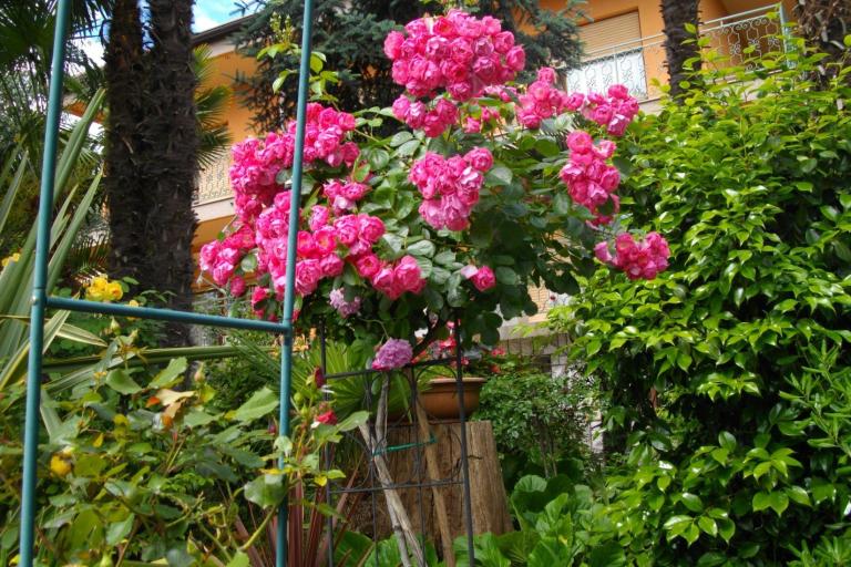 Apartmán Ines – foto 2