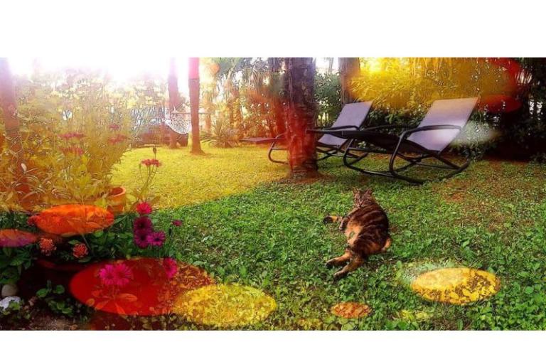 Apartmány Villa Adelina – foto 15