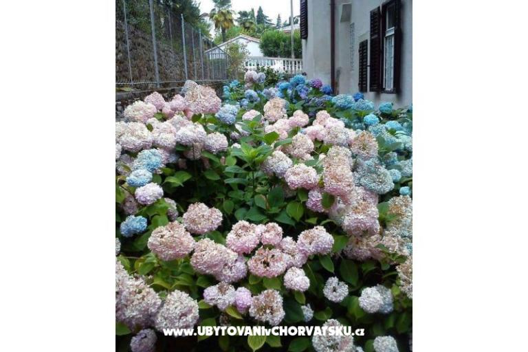 Apartmány Villa Adelina – foto 18