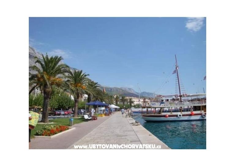 Apartmán Andrijašević – foto 12